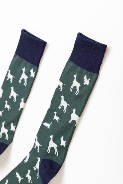 Calcetines de hombre con estampado de varios perros - bosque
