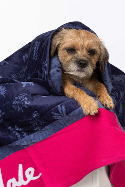 Large Dog Drying Towel - Yapham - Navy