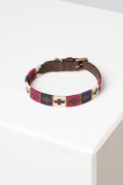 Collier pour chien Polo Belt - Baie/Marine/Or