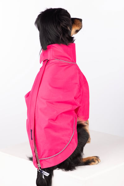 Dog Raincoats - Yapham - Bonbon