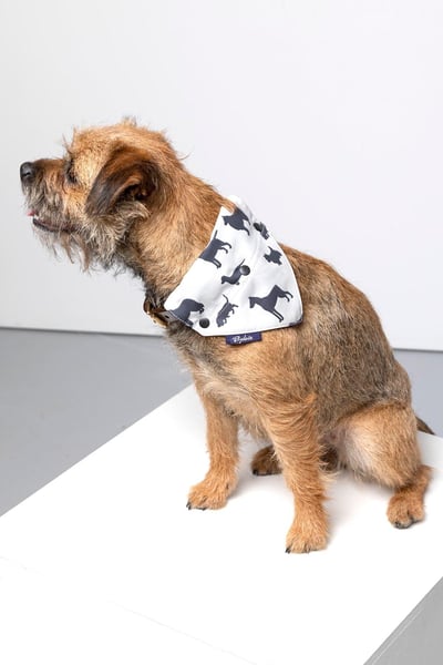 Dog Bandana - Berry