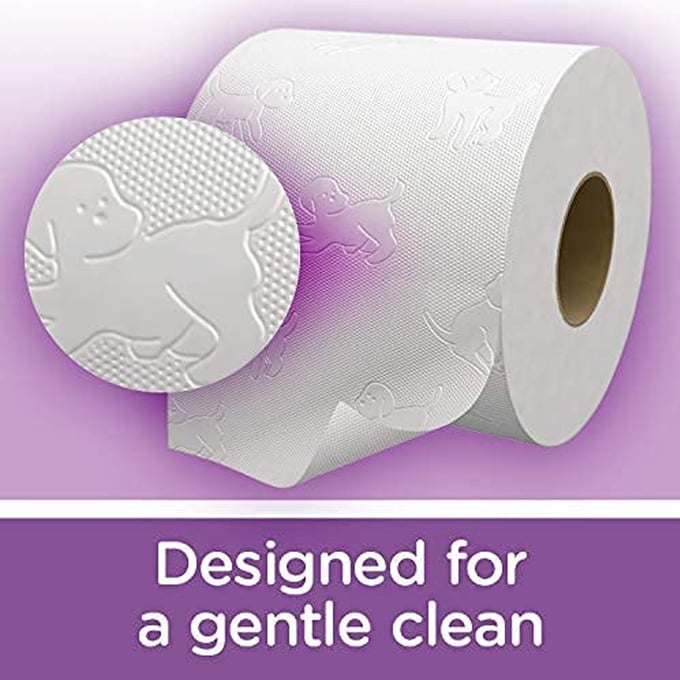Andrex Gentle Clean Toilet Roll 16pk UK