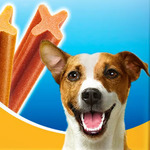 Dog Food & Treats