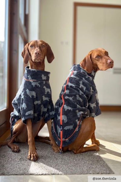 Dog Drying Jumper - Yapham - Grey
