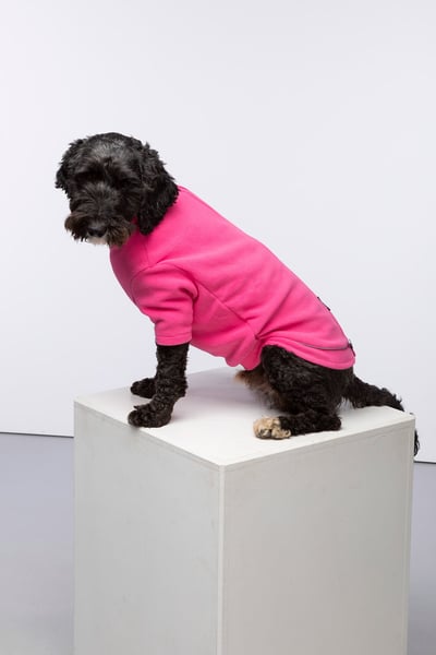 Fleece-Hundepullover - Yapham - Bonbon