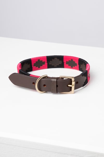 Collier pour chien Polo Belt - Brown/Black/Bonbon