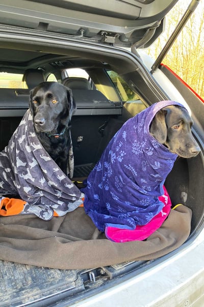 Large Dog Drying Towel - Yapham - Navy
