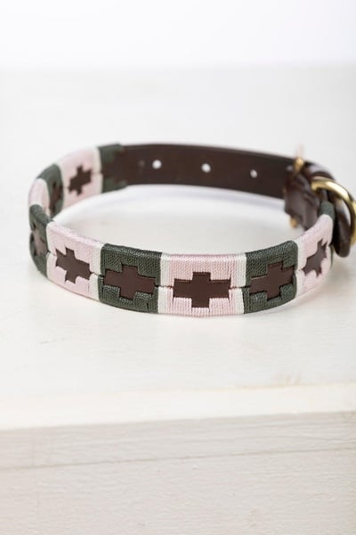 Hundehalsband mit Polo-Gürtel - Oliv/Weiß/Sorbet