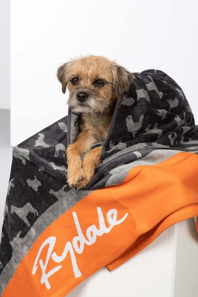 Large Dog Drying Towel - Yapham - Grey