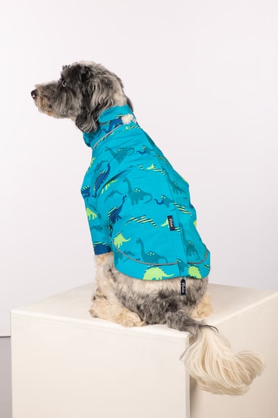 Patterned Dog Raincoats - Yapham - Dinosaur Blue