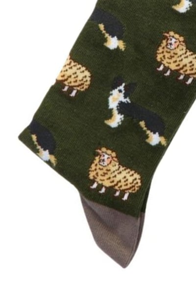 Calcetines funky de bambú para hombre - Oveja y perro