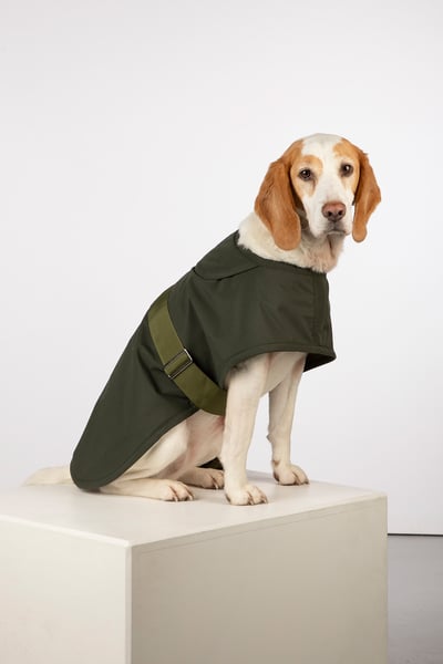 Fleece Lined Dog Coat - Yapham - Olive