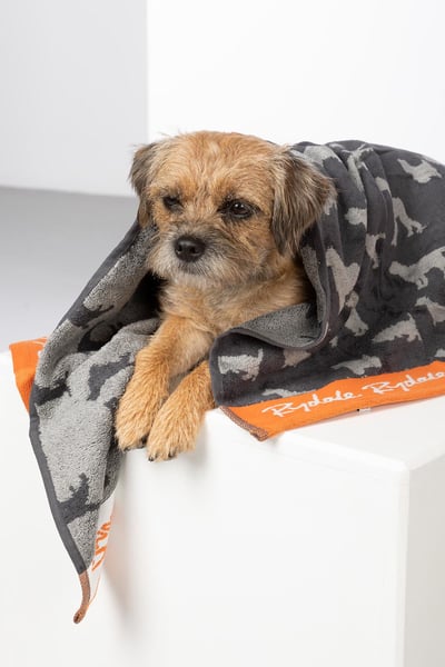 Small Dog Drying Towel - Yapham - Grey