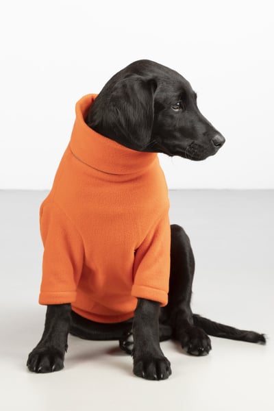 Fleece Dog Jumper - Yapham - Orange
