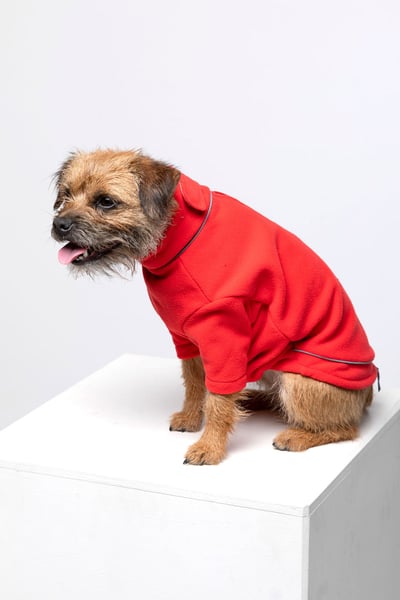 Fleece-Hundepullover - Yapham - Rot