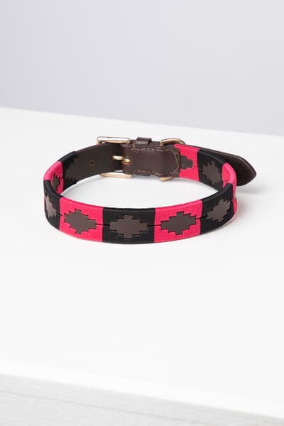 Collier pour chien Polo Belt - Brown/Black/Bonbon