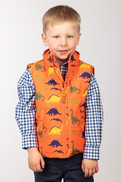 Toddler Padded Splash Gilet - Dinosaurs