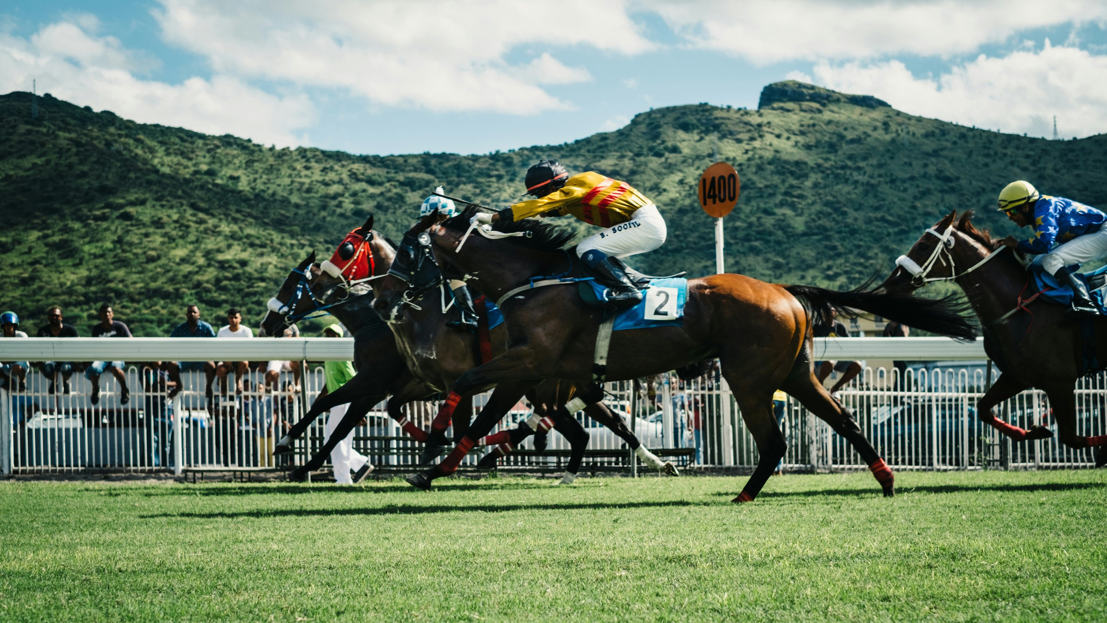 Carreras de caballos planas