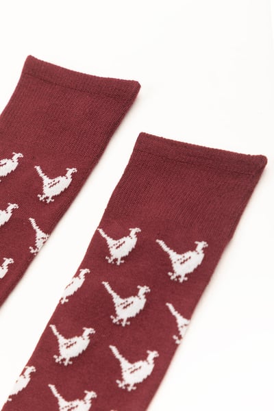 Men's Walking Pheasant Socks - Burgundy
