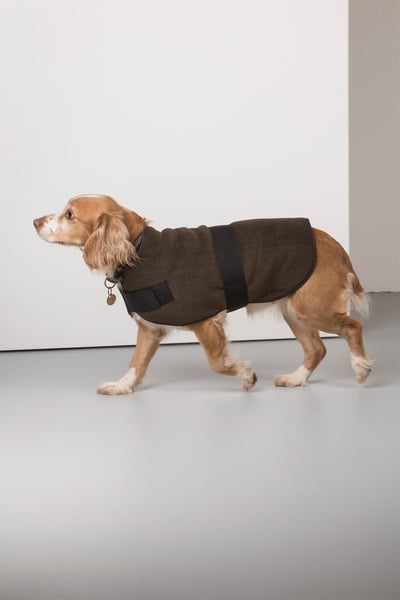 Fleece Dog Coat - Olive