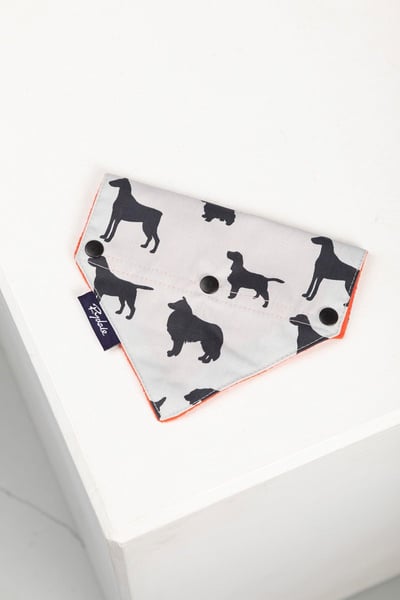 Dog Bandana - Orange