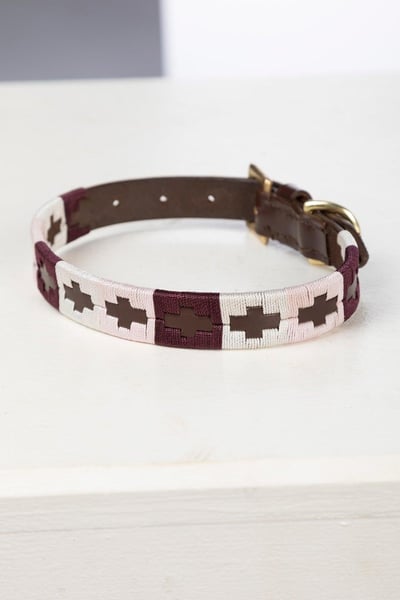 Collier pour chien Polo Belt - Baie/Blanc/Sorbet