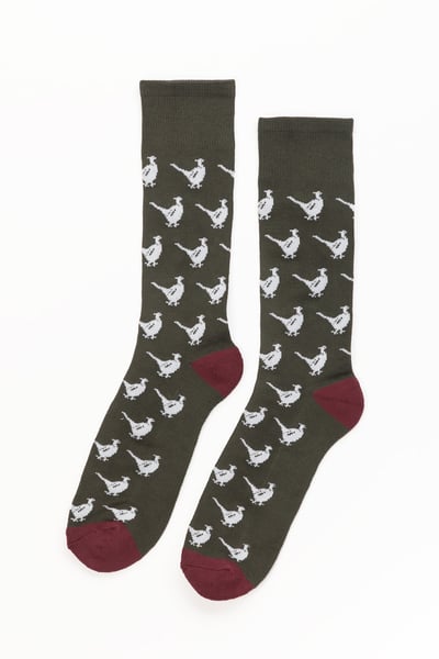 Men's Walking Pheasant Socks - Dark Olive