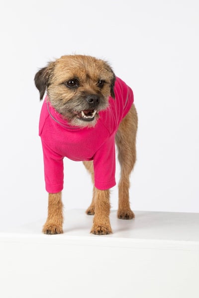 Lightweight Micro Fleece Dog Jumper - Yapham - Cerise