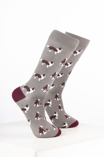 Men’s Bamboo Rich Dog Ankle Socks - Border Collie Grey