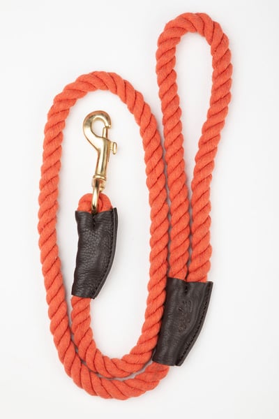 Rope Dog Lead – Yapham - Burnt Orange