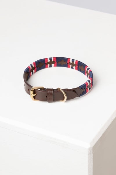 Collier pour chien Polo Belt - Bonbon/Marine/Blanc