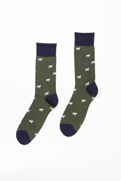 Chaussettes pour chiens qui marchent pour hommes - Kaki
