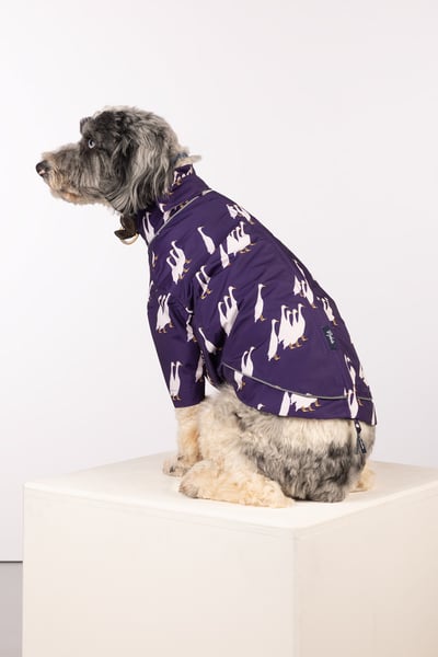 Patterned Dog Raincoats - Yapham - Duckie Purple