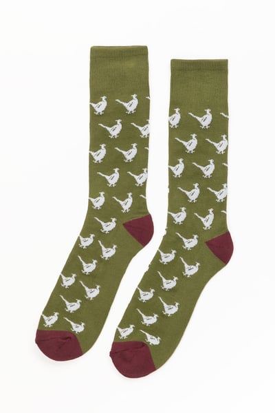 Men's Walking Pheasant Socks - Khaki