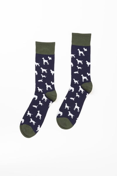 Calcetines de hombre con estampado de varios perros - Caqui/Azul marino