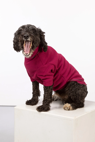 Fleece Dog Coat
