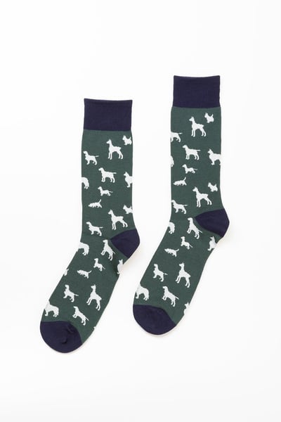 Calcetines de hombre con estampado de varios perros - bosque