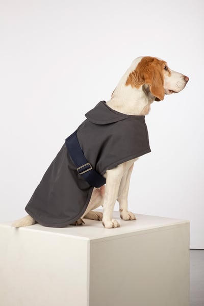 Fleece Lined Dog Coat - Yapham - Dark Grey