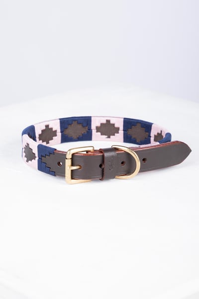 Polo Belt Dog Collar - Brown/Navy/Sorbet