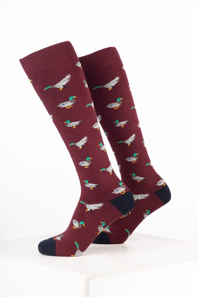 Men's Bird Welly Socks - Duck Wine