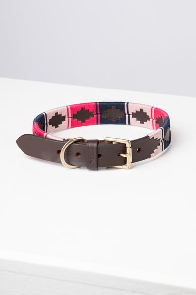Collier pour chien Polo Belt - Bonbon/Navy/Sorbet