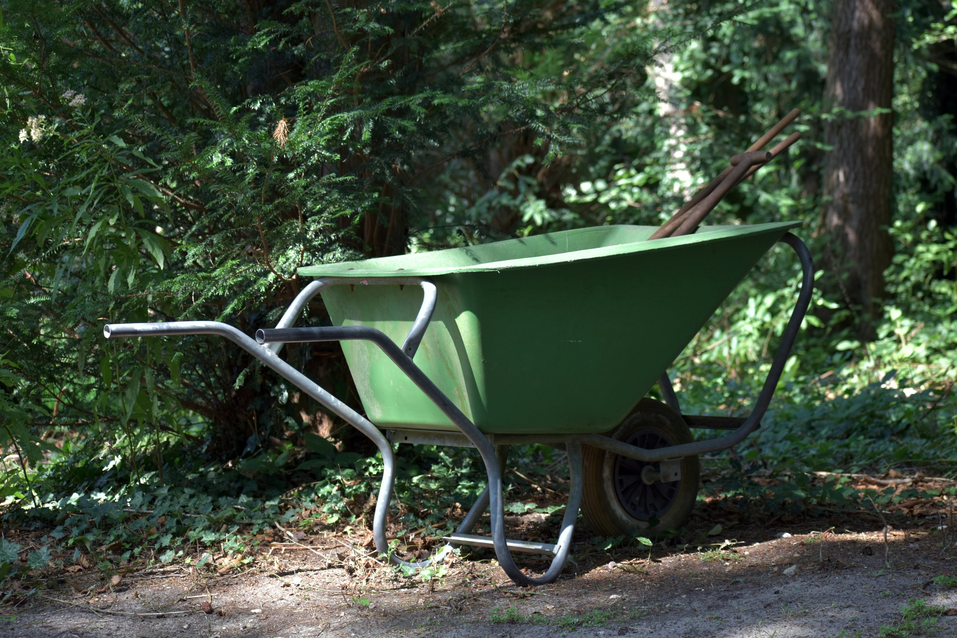 Green wheelbarrow in a garden/wooded area ready for moving storm debris.