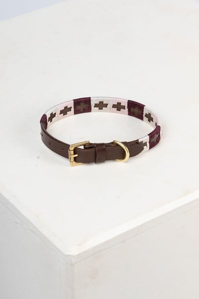 Collier pour chien Polo Belt - Baie/Blanc/Sorbet