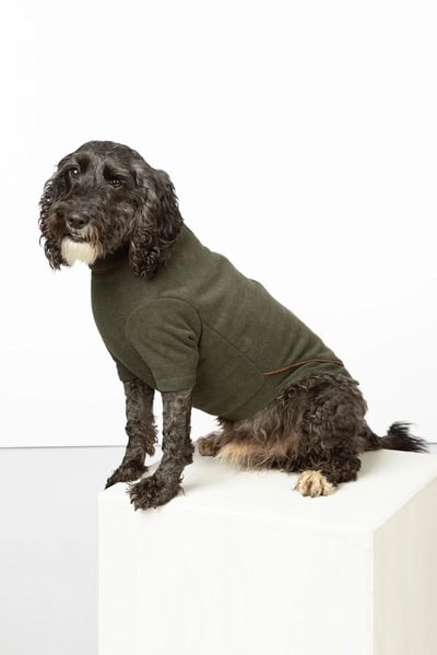 Suéter de lana para perros - Huggate - Caqui