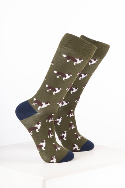 Chaussettes pour chiens pour hommes - Border Collie Vert Olive Foncé