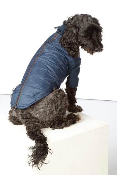 Hybrid Quilted Dog Jumper - Huggate - Marl Navy