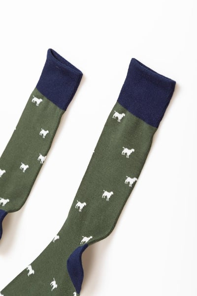 Chaussettes pour chiens qui marchent pour hommes - Kaki