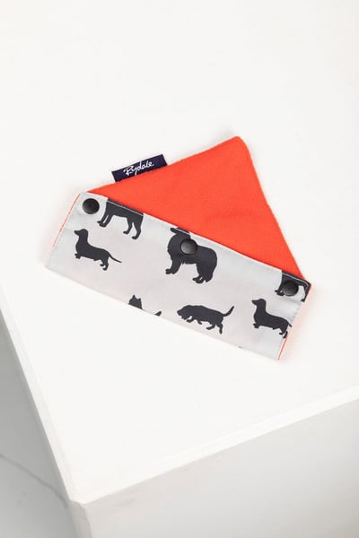 Dog Bandana - Orange