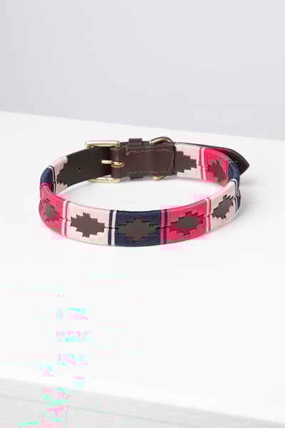 Collier pour chien Polo Belt - Bonbon/Navy/Sorbet