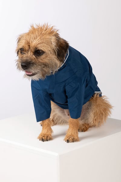 Dog Raincoats - Yapham - Denim